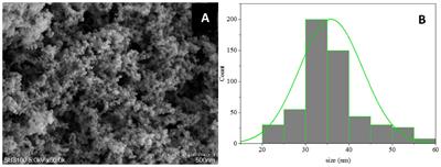 Integrated physiological, transcriptomic, and metabolomic analyses of drought stress alleviation in Ehretia macrophylla Wall. seedlings by SiO2 NPs (silica nanoparticles)